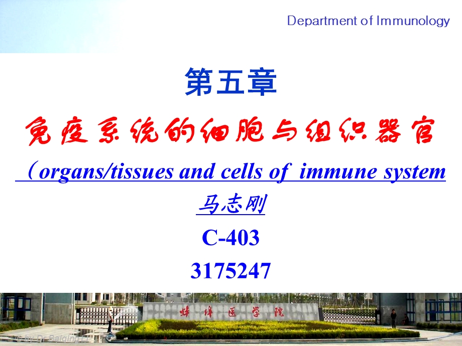 医学免疫学免疫器官和免疫细胞ppt课件.ppt_第1页