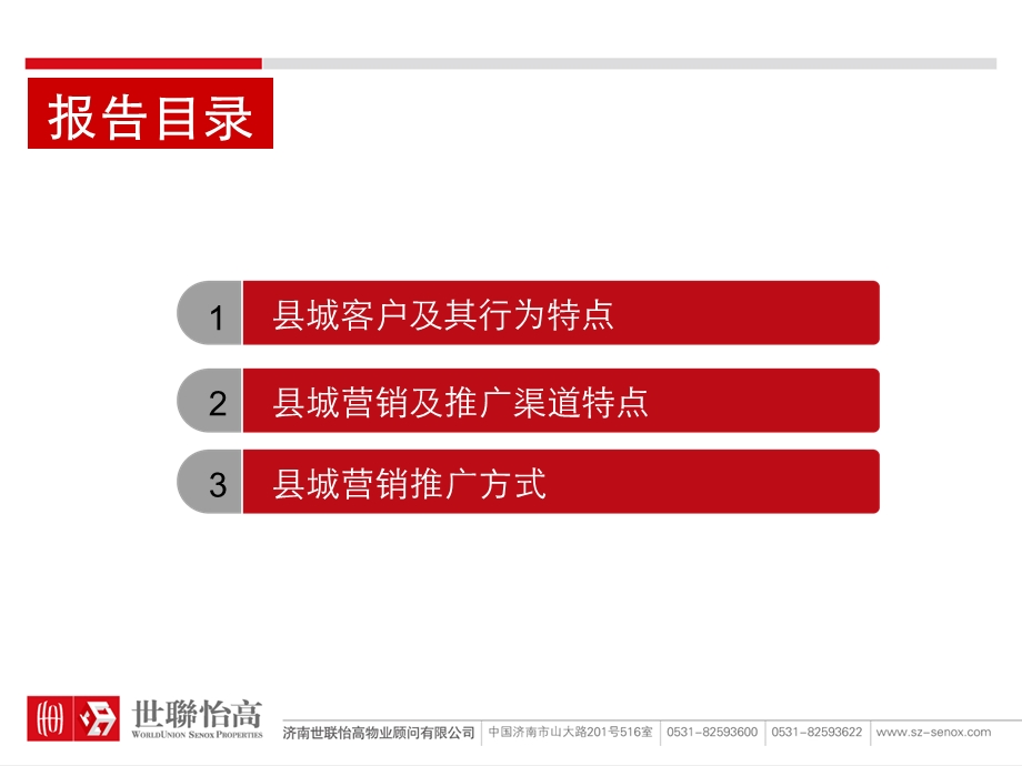 县域项目推广方案.ppt_第2页