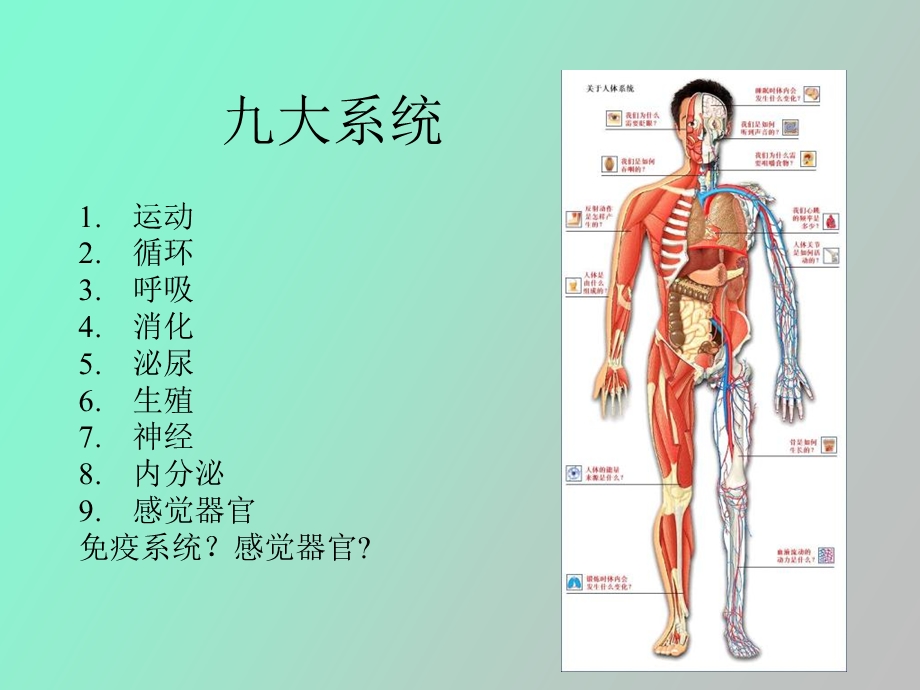 医学基础系统.ppt_第2页