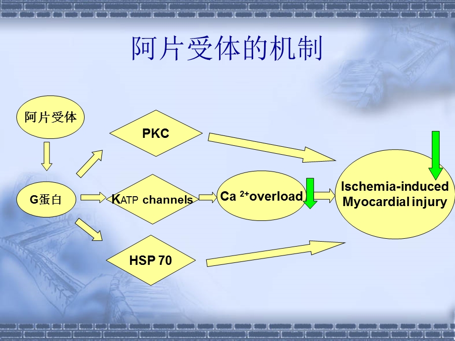 纳洛酮影响大鼠心脏缺血后处理保护作用.ppt_第3页