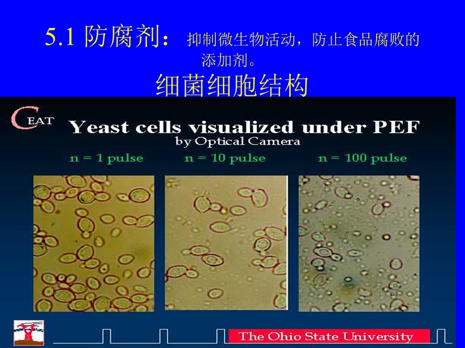 精细化工工艺学—第五章食品添加剂.ppt_第3页