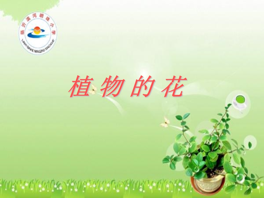 小学科学《植物的花》.ppt_第1页