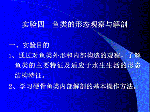 实验四鱼的形态观察与解剖.ppt