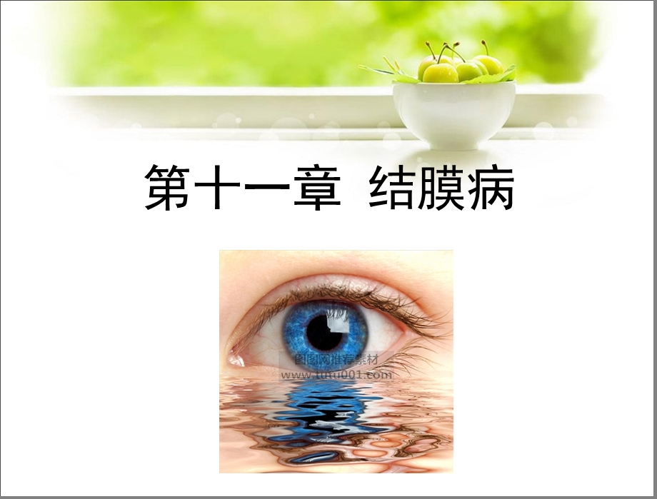 医学ppt-第十一章结膜病.ppt_第1页