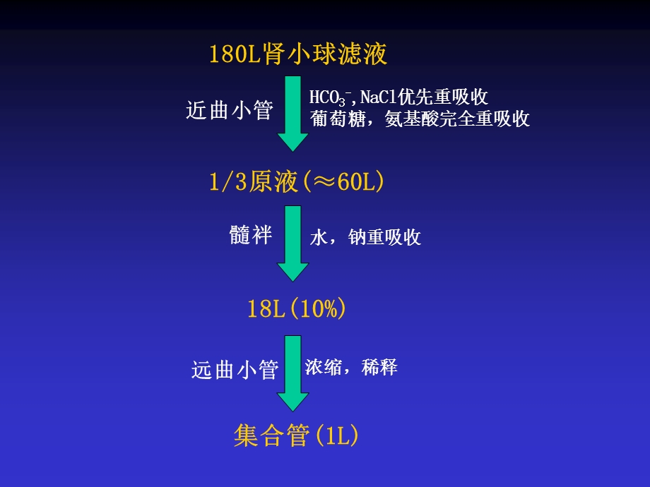 医学检验-实验室诊断学.ppt_第3页