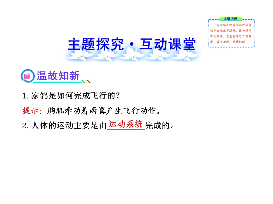 第节动物运动的形成.ppt_第2页