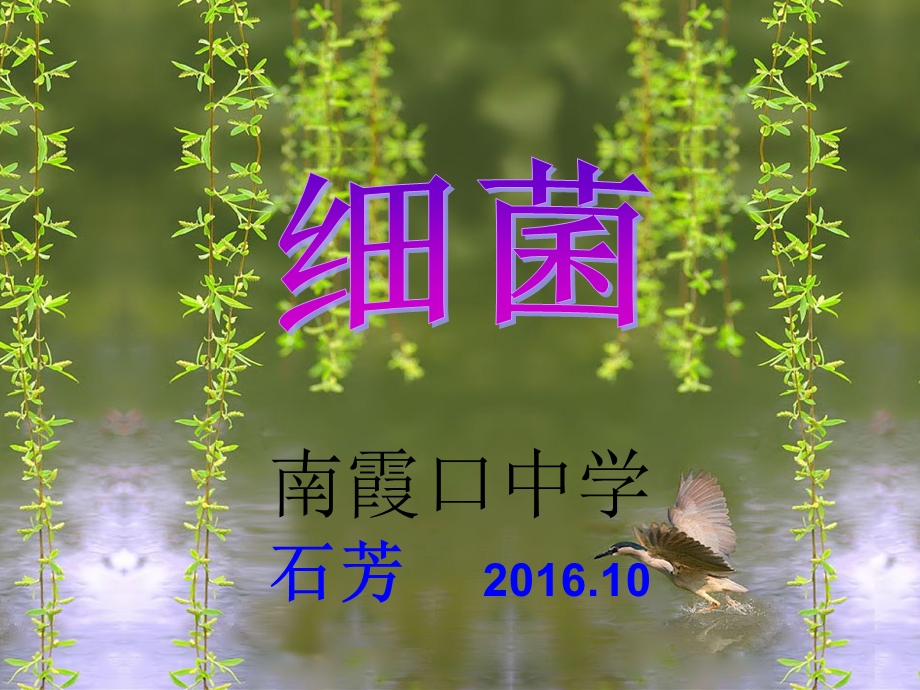 初中生物说课课件.ppt_第1页