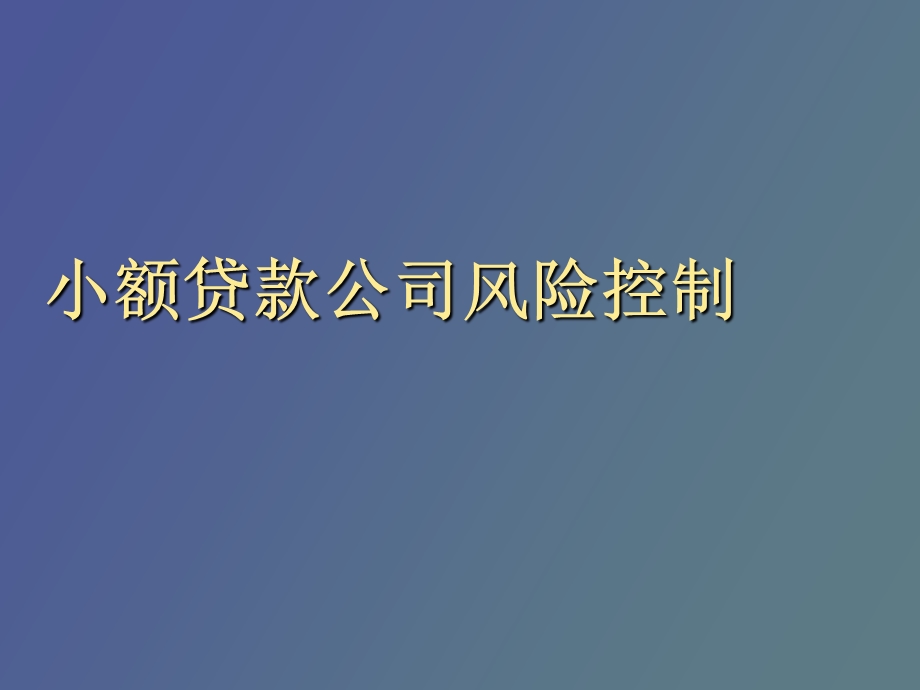 小额贷款公司风险控制.ppt_第1页