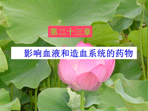 医学课件影响血液和造血系统的药物.ppt