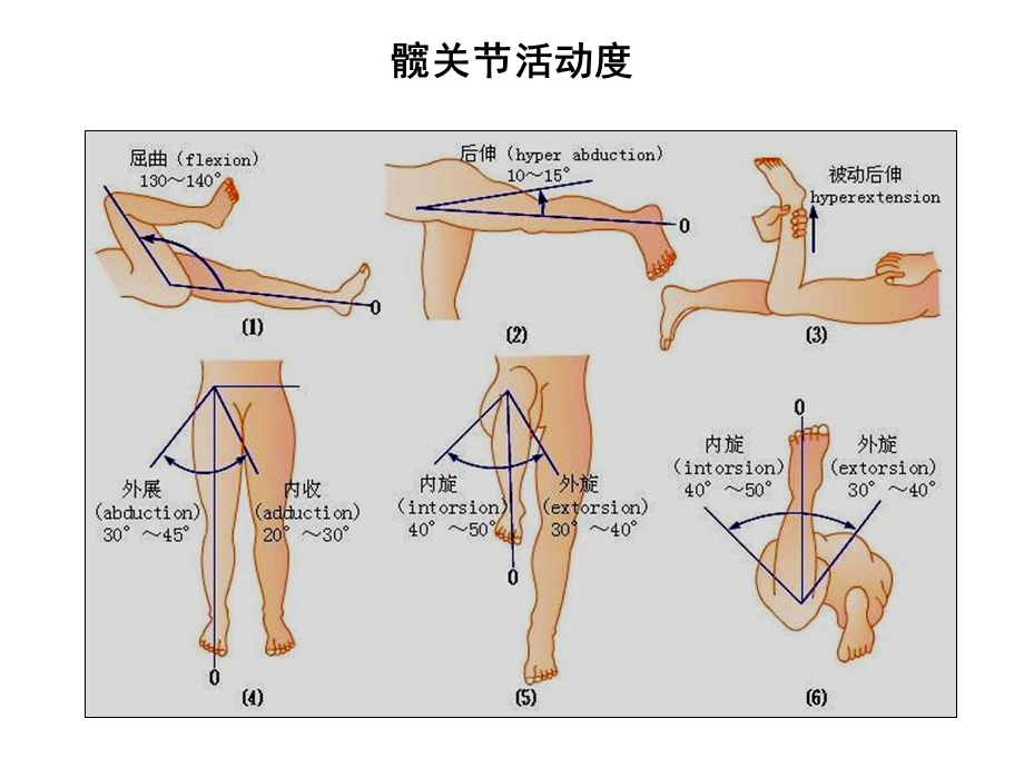 关节活动度记录方法.ppt_第3页