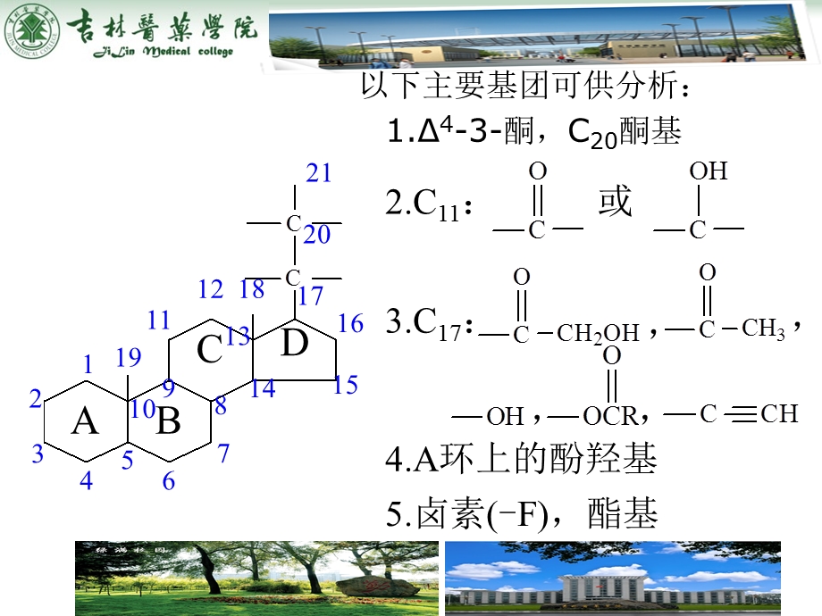 第十五部分甾体激素类药物的分析教学课件.ppt_第3页