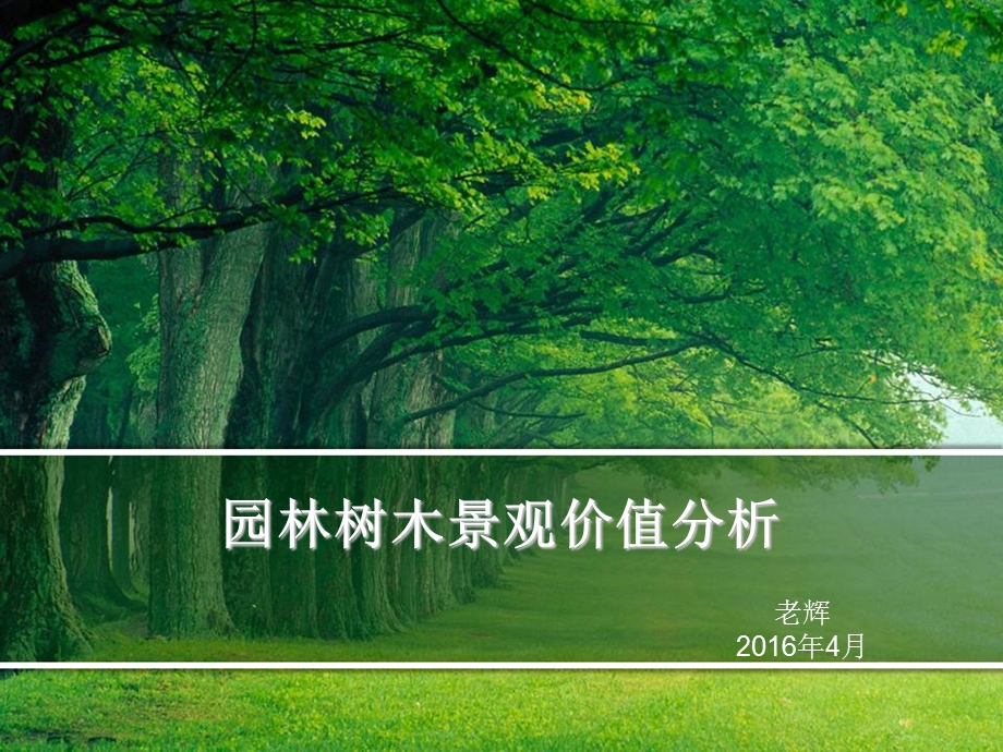 园林树木景观价值分析.ppt_第1页