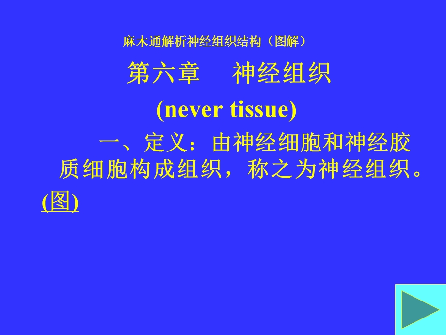 麻木通解析神经组织结构图解.ppt_第1页