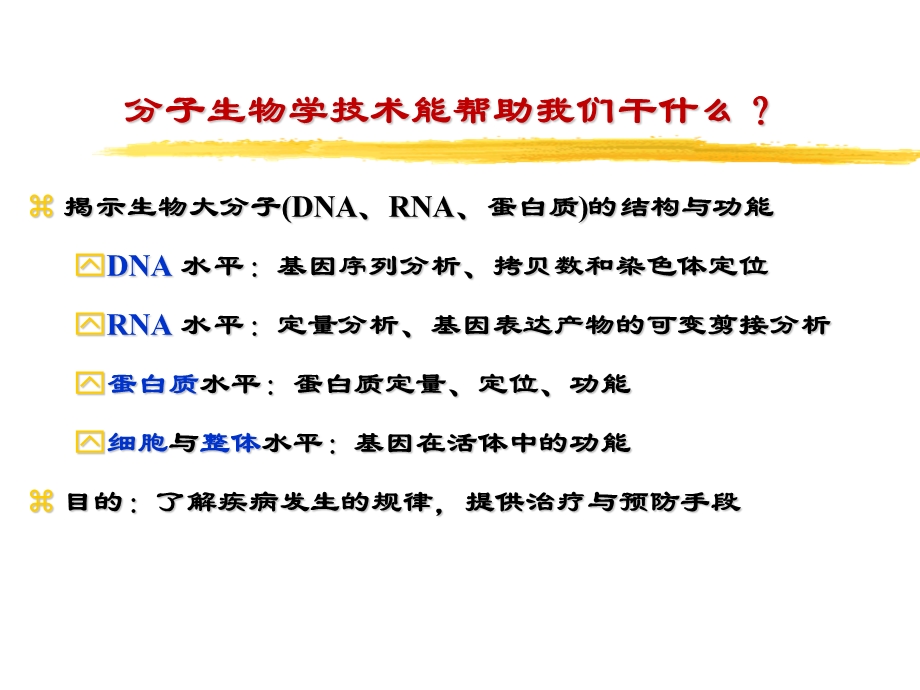 分子生物学常用技术(简化版).ppt_第3页