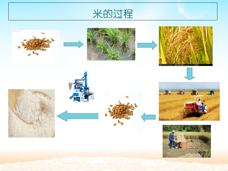 大大班科学《各种各样的米》.ppt_第3页