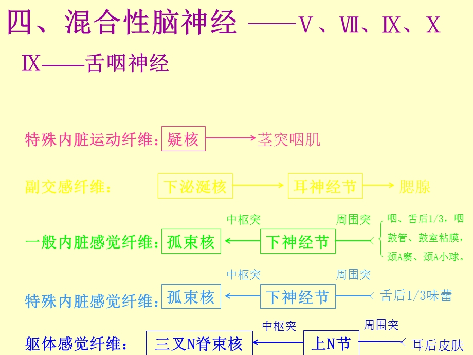 脑神经(本5)2.ppt_第1页