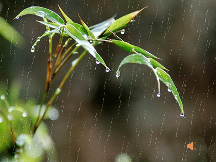 小班打击乐大雨和小雨.ppt_第3页