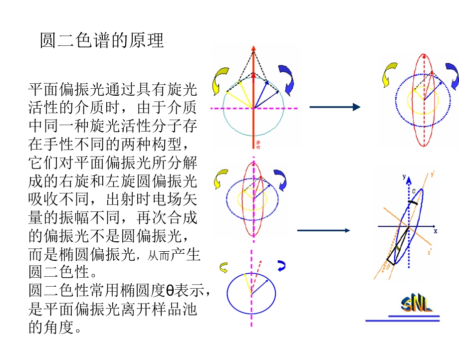 圆二色谱的原理和应用.ppt_第2页