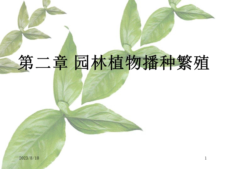 园林植物播种育苗.ppt_第1页