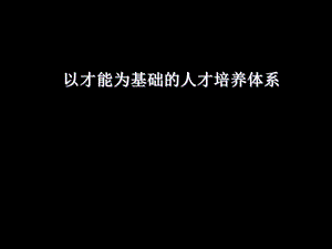 以才能为基础的人才培养体系v.ppt