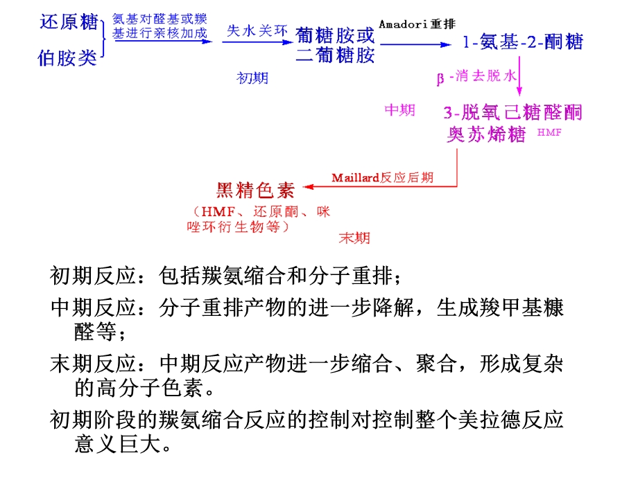 美拉德反应和焦糖化反应.ppt_第2页