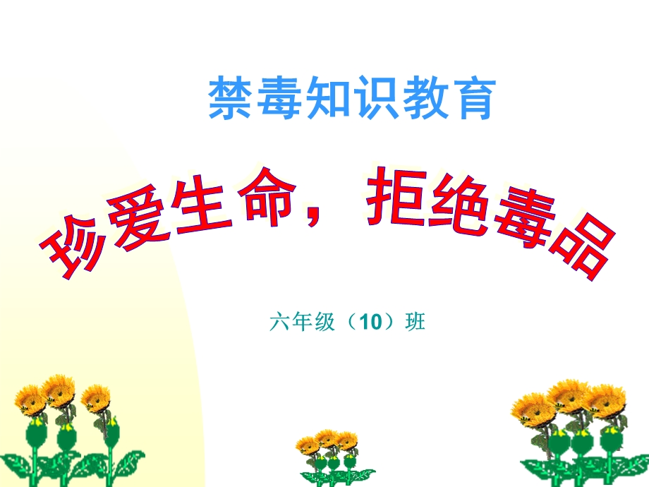 小学禁毒教育PPT.ppt_第1页