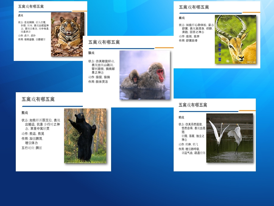 健身气功五禽戏.ppt_第3页