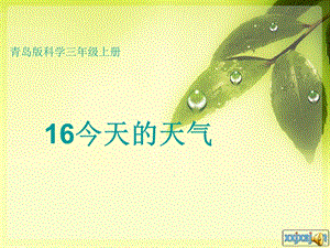 小学科学三上16课《今天的天气》.ppt