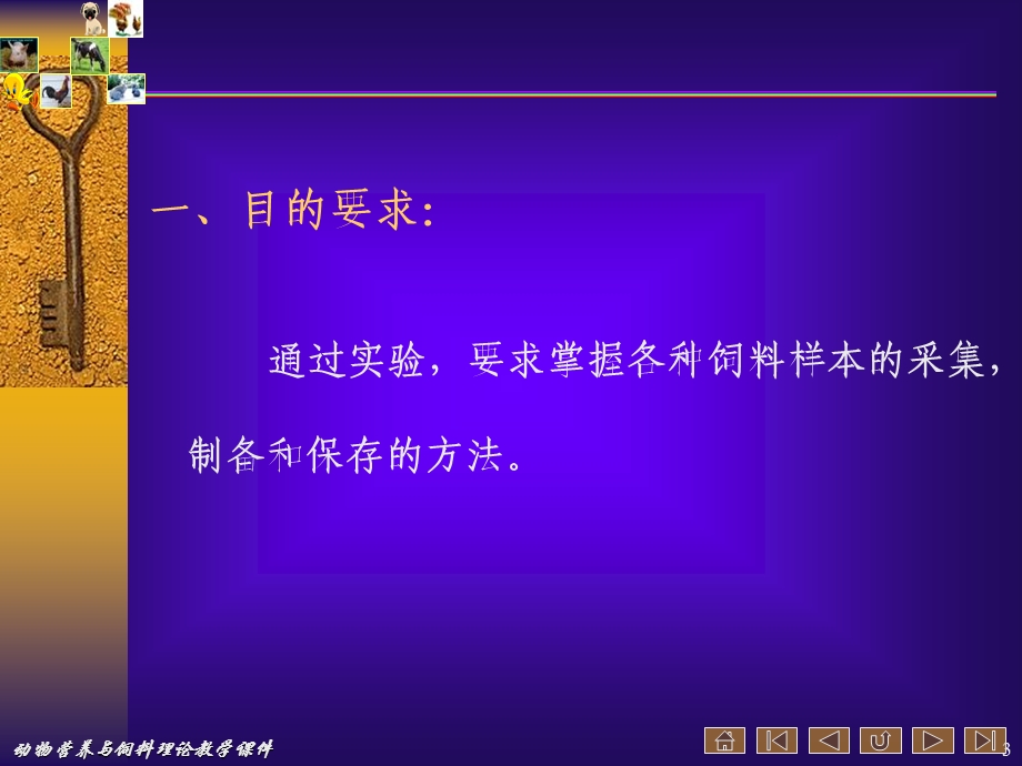 动物营养与饲料实验教学.ppt_第3页