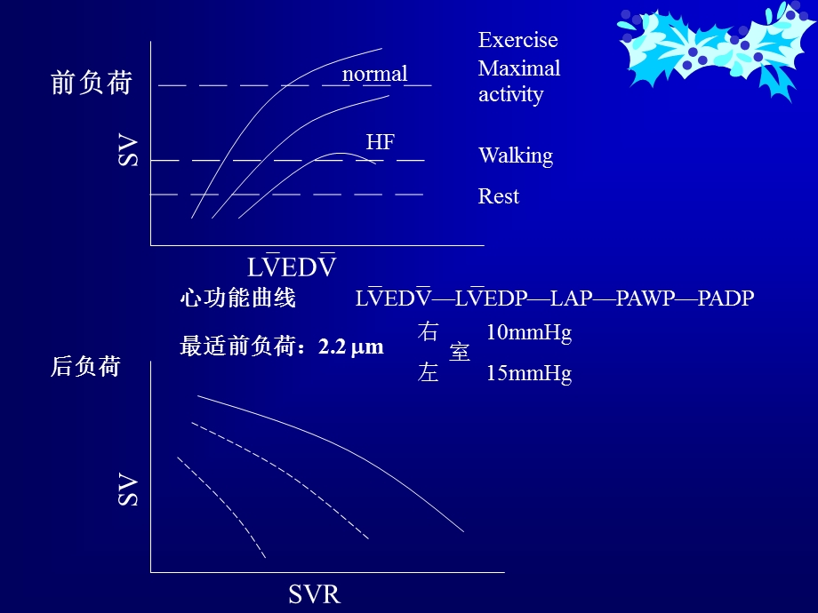 麻醉与循环.ppt_第3页