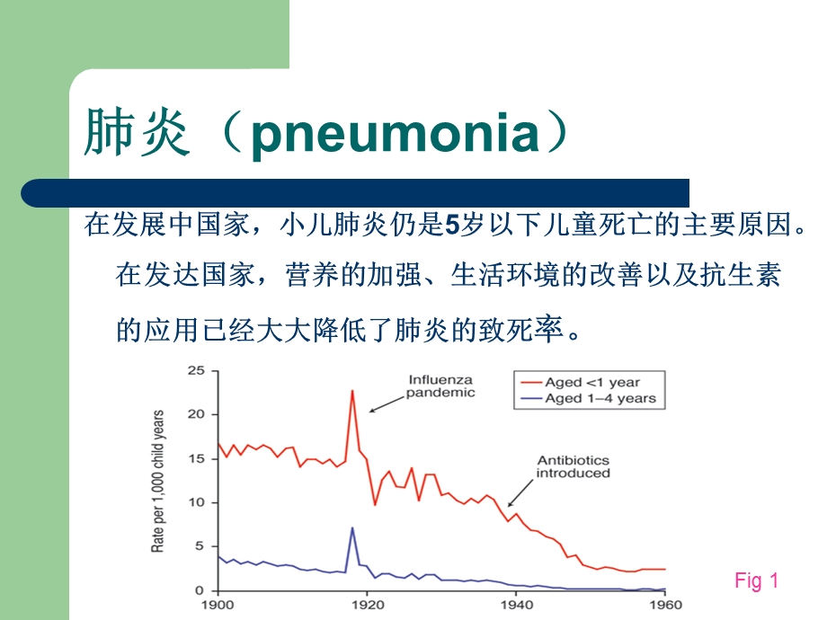 小儿肺炎诊治新进展.ppt_第3页