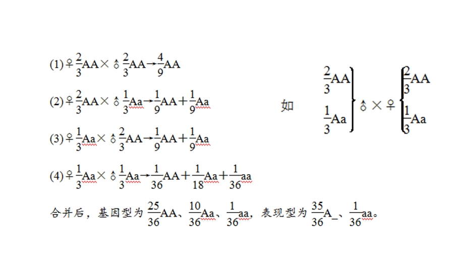 交与自由交配及基因分离定律.ppt_第3页