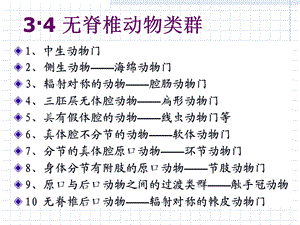 动物生物学一海绵动物.ppt