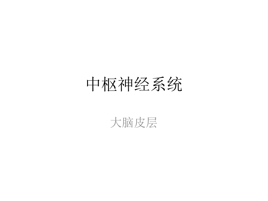 大脑皮层功能区简介.ppt_第1页