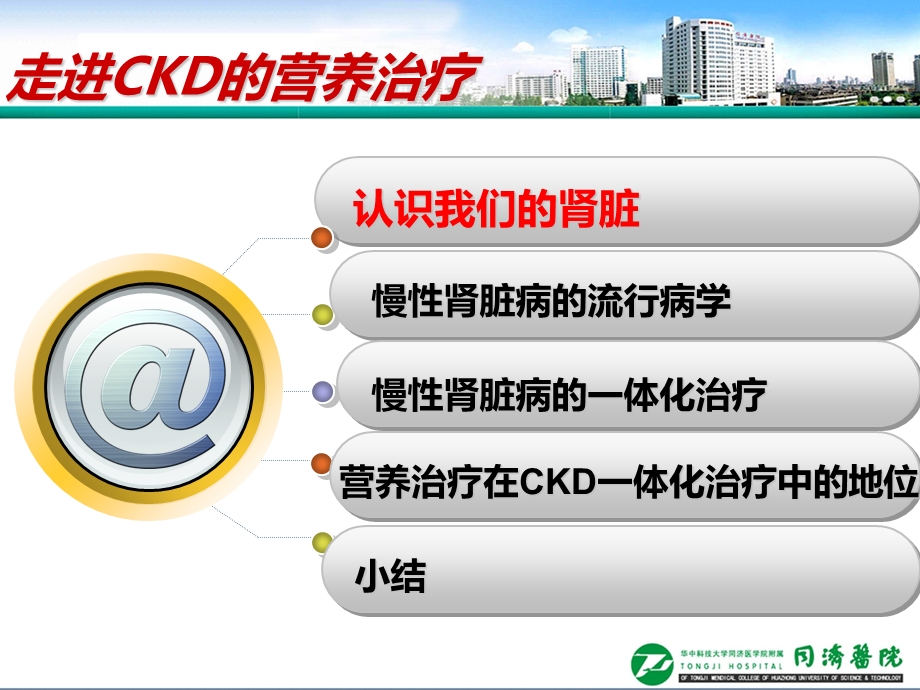 姚教授：营养治疗在ckd一体化治疗中的地位ppt课件.ppt_第3页