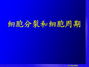 细胞分裂和细胞周期.ppt