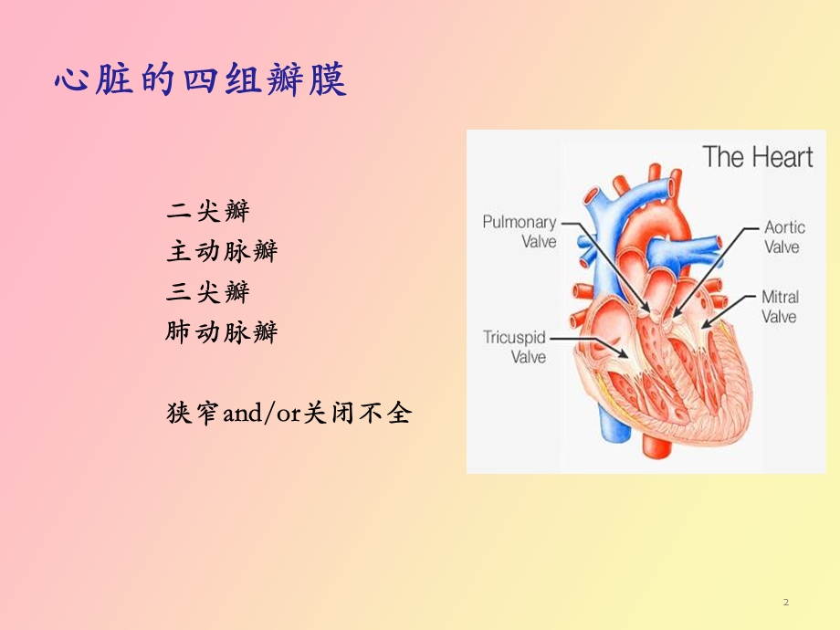 心脏瓣膜病的麻醉.ppt_第2页