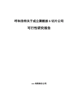 呼和浩特关于成立聚酰胺6切片公司可行性研究报告.docx