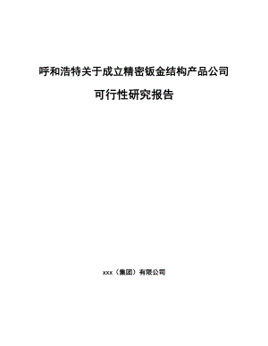 呼和浩特关于成立精密钣金结构产品公司可行性研究报告.docx