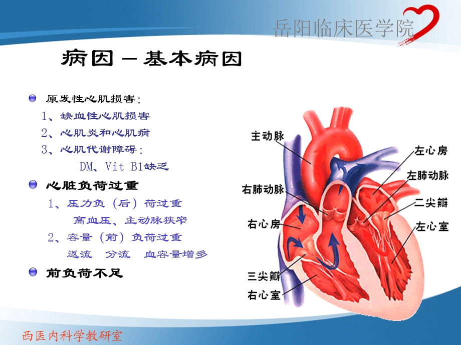 循环系统岳阳医院心内科符德玉.ppt_第3页