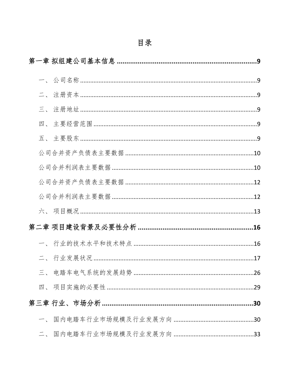 吉林省关于成立电踏车电机公司可行性研究报告.docx_第2页