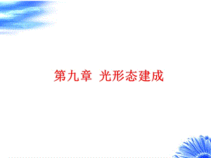 植物生理学第九章光形态建成.ppt