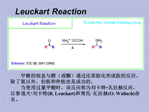 有机人名反应.ppt