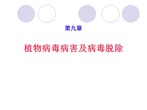 植物病毒病害及脱毒.ppt