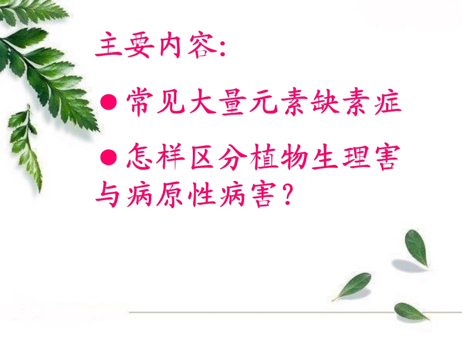 植物大量元素缺素症状.ppt_第2页