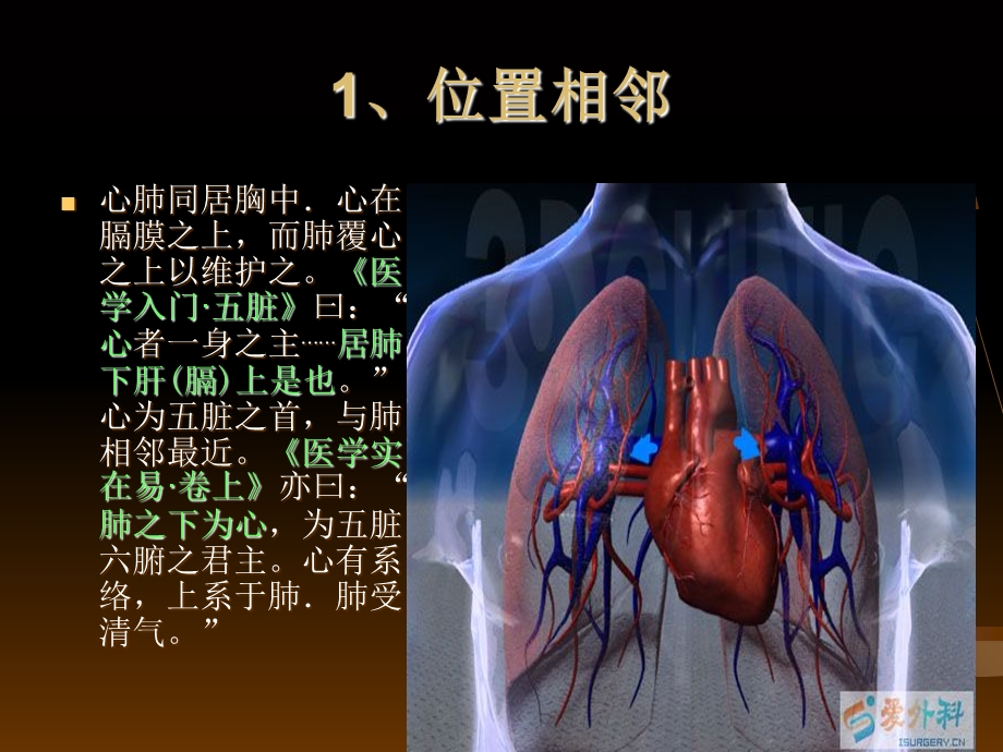 心与肺的关系探讨.ppt_第3页
