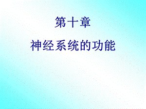 第十章神经系统的功能.ppt