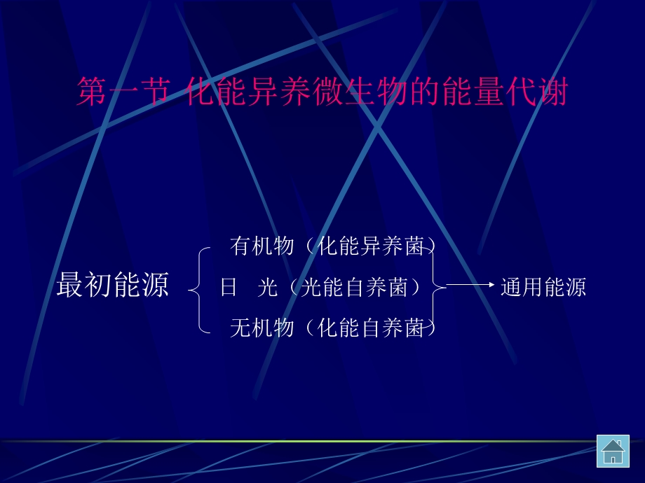 微生物的新陈代谢.ppt_第2页