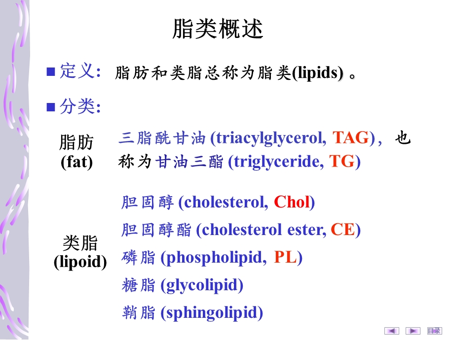 第08章脂类代谢.ppt_第2页