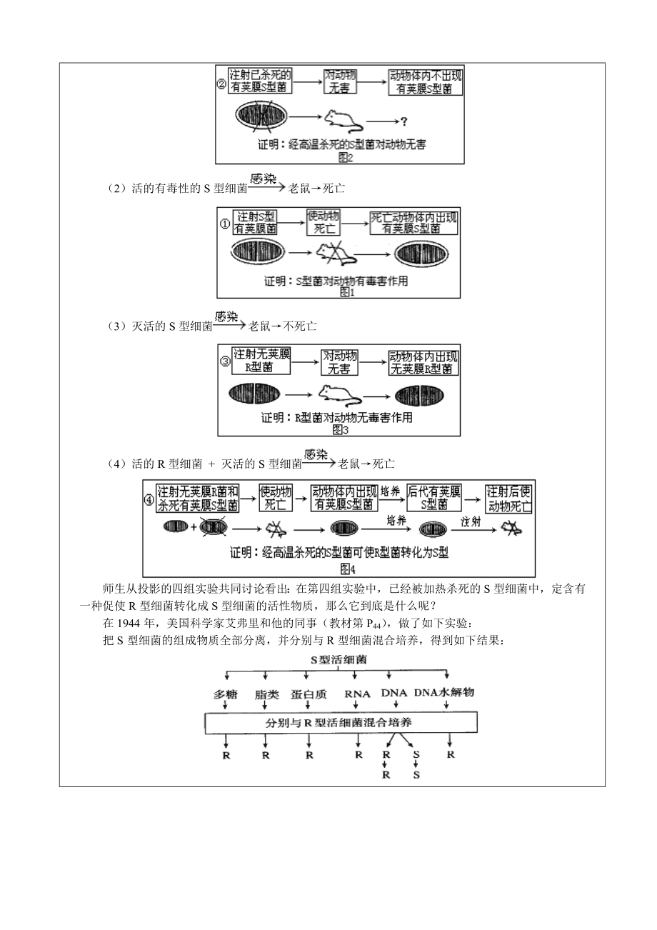 3.1DNA是主要的遗传物质教学设计龚洁.doc_第3页